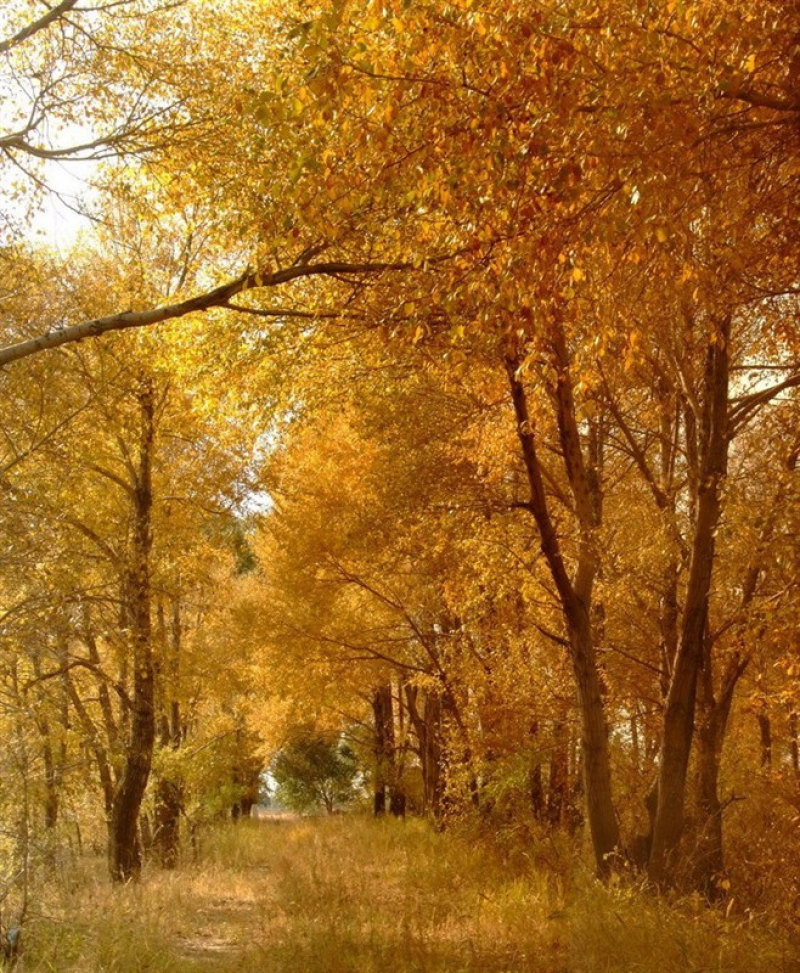 58e4961011b39.jpg 58e4961011b39.jpg